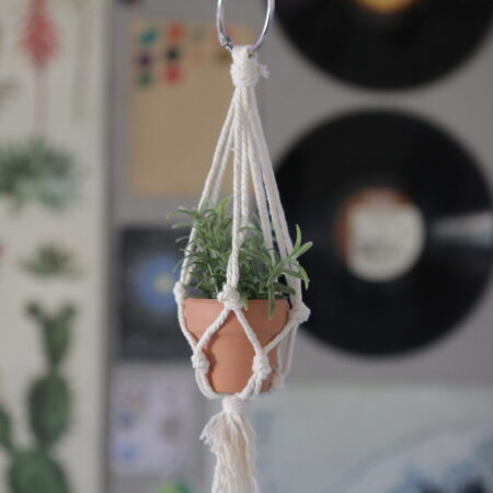 Tiny Plant & Hanger
