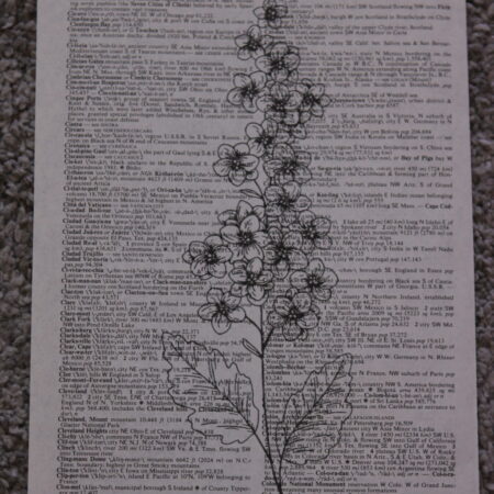 Wild Flower Dictionary Prints