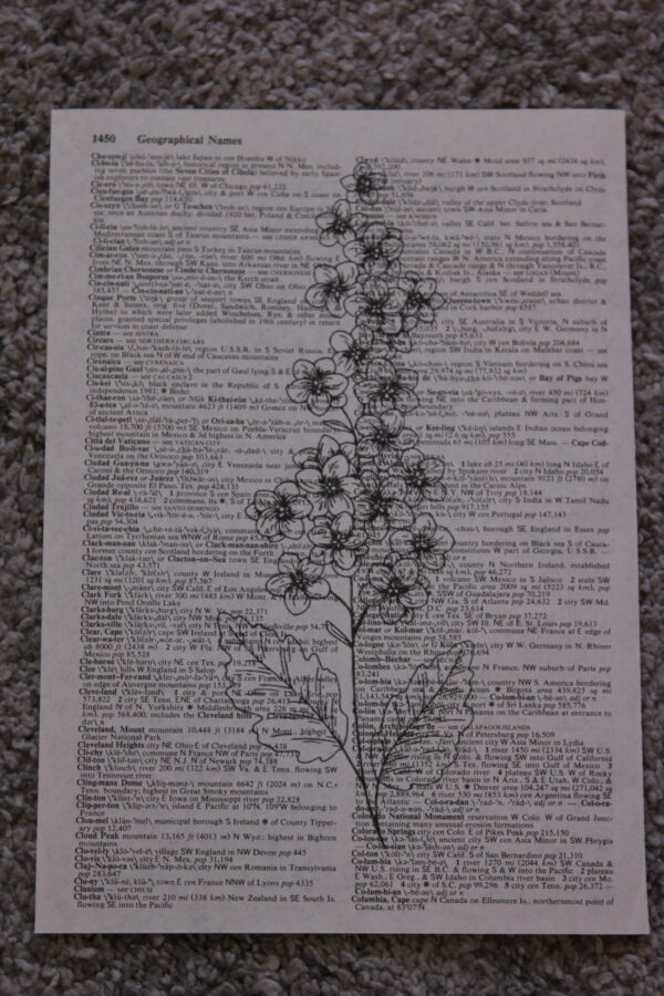 Wild Flower Dictionary Prints