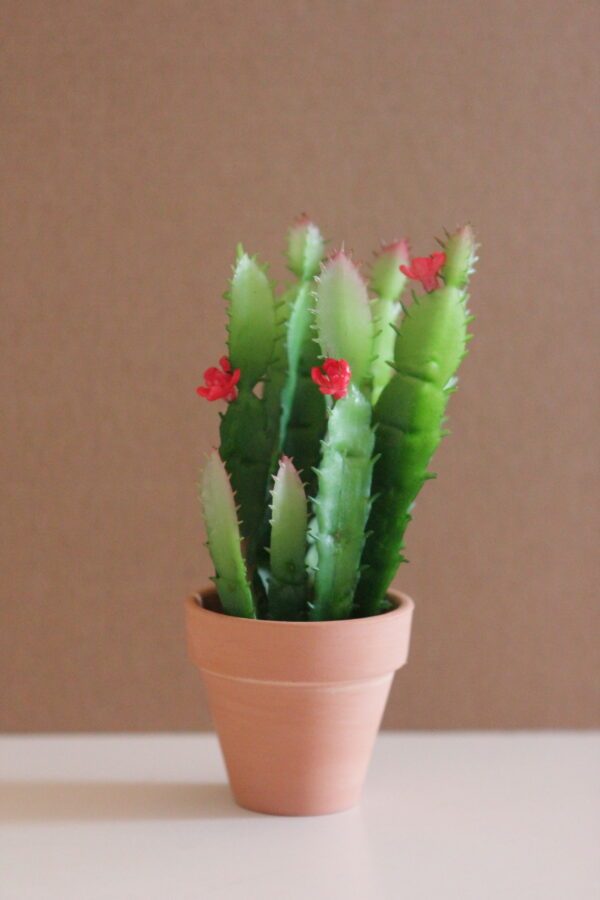 Happy Plants - Image 2