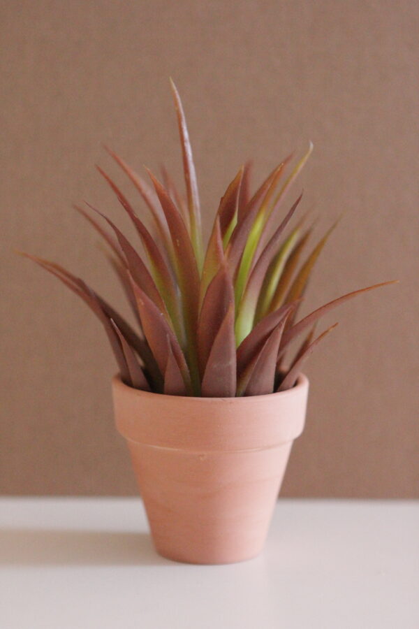 Happy Plants - Image 3