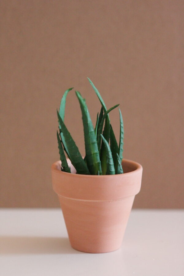 Happy Plants - Image 5