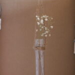 Baby's Breath
