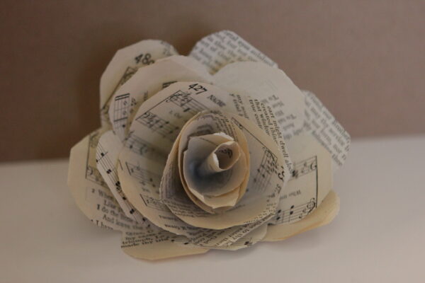Book Rose